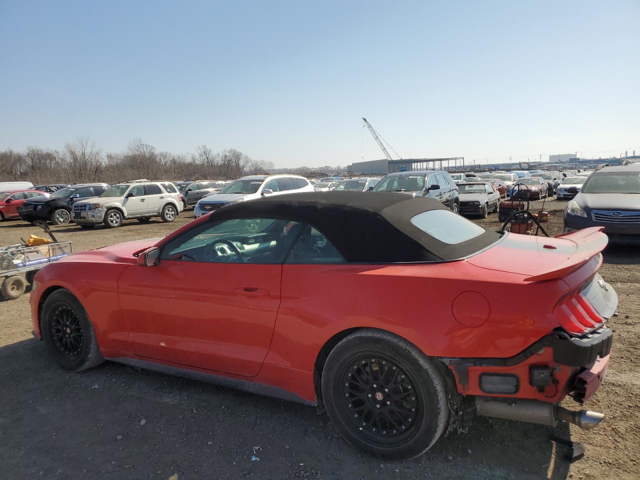 1FATP8UH7M5100733 FORD ALL Models 2021