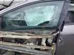2014 Ford Focus Se იყიდება Pennsburg-ში, PA - All Over