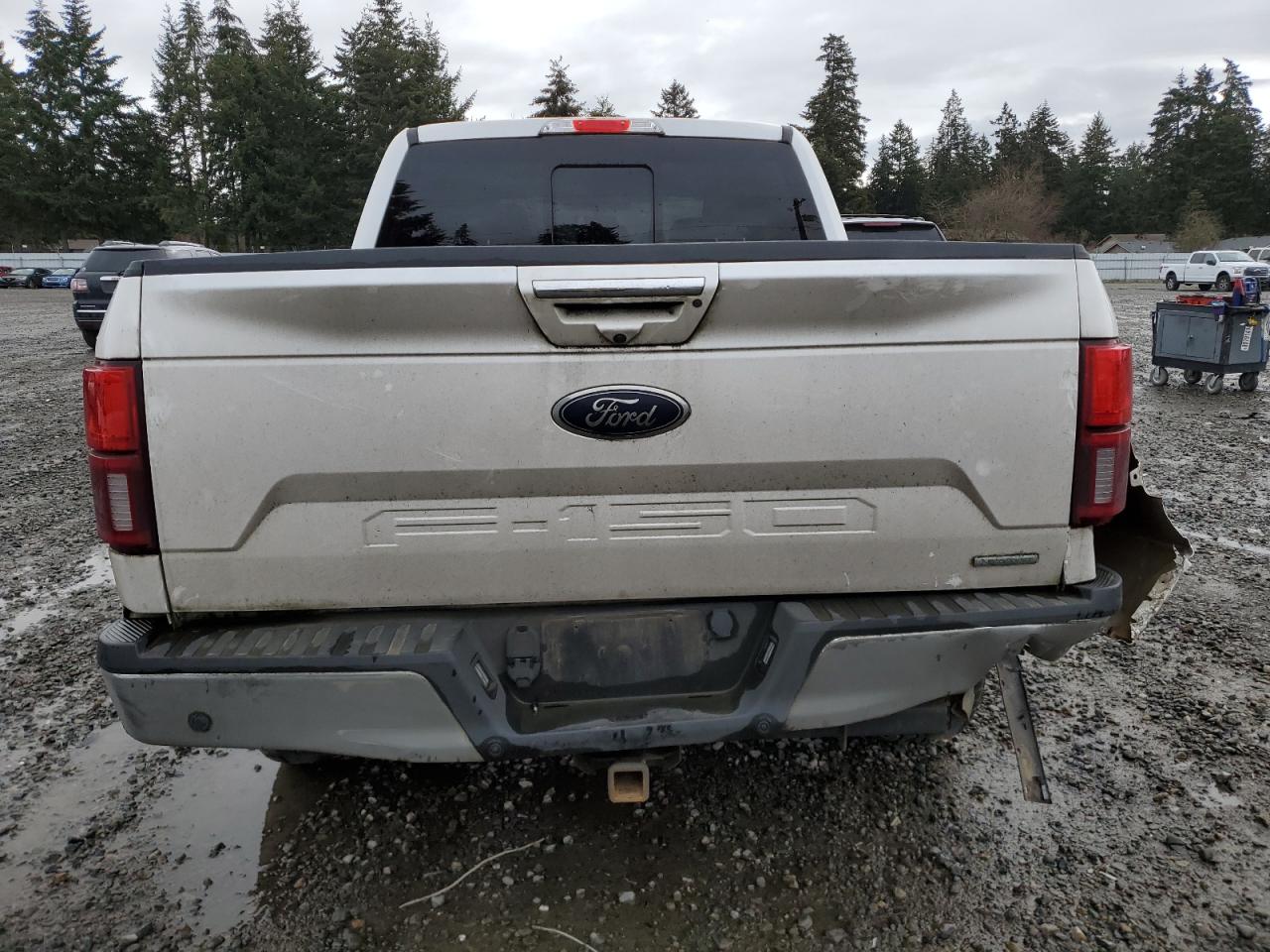 1FTEW1E45KKC36950 FORD F-150 2019