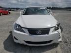 2008 Lexus Is 250 იყიდება Lumberton-ში, NC - Front End