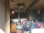 2010 North Country Artic Fox for Sale in Woodburn, OR - Burn - Interior