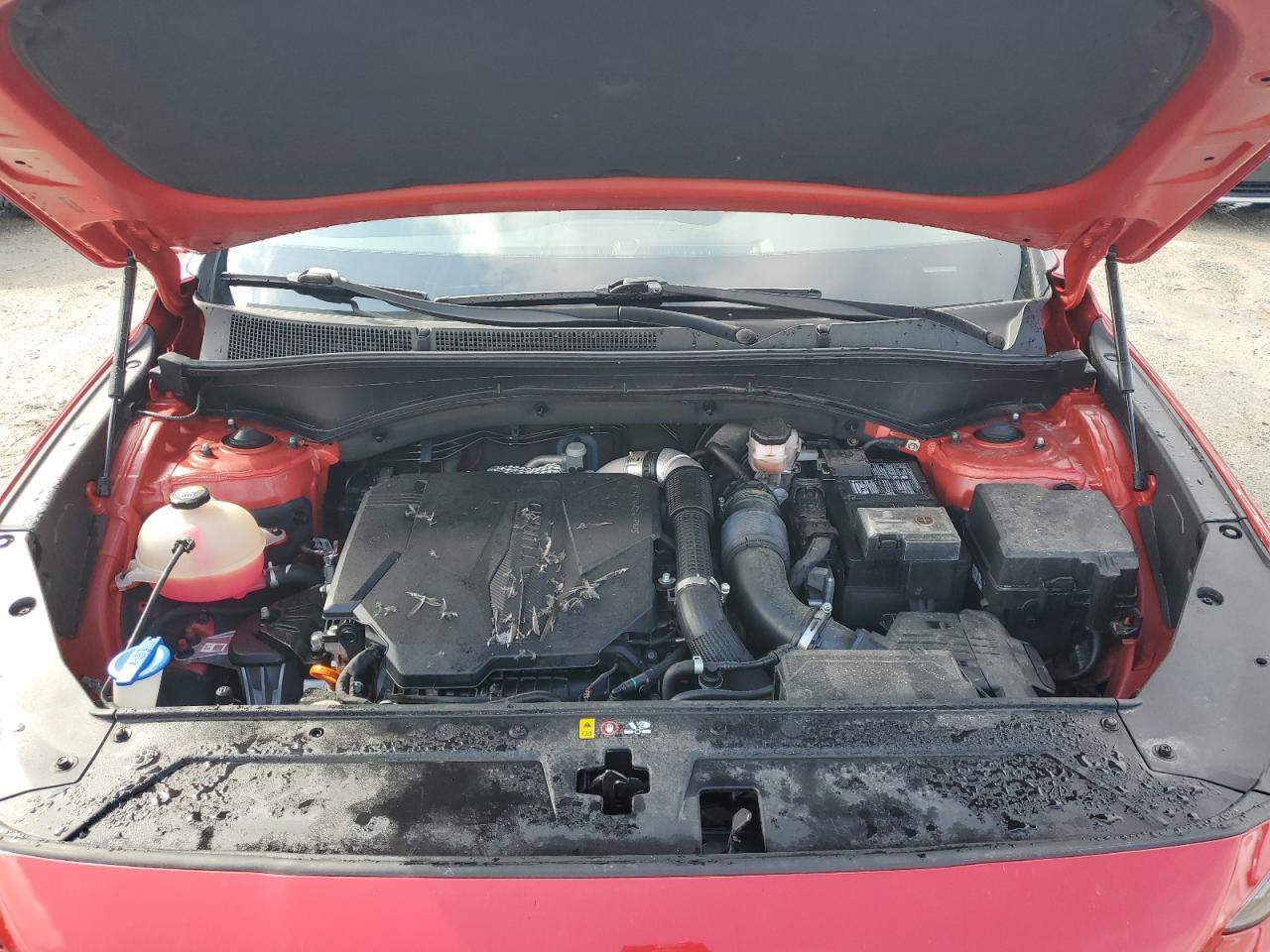 2021 Hyundai Santa Fe Limited VIN: 5NMS44AL7MH310360 Lot: 48356385