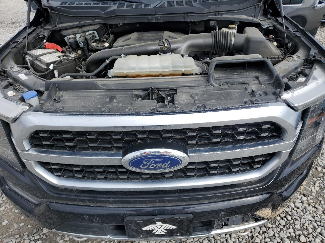 1FTFW1E88PFB70174 FORD F-150 2023