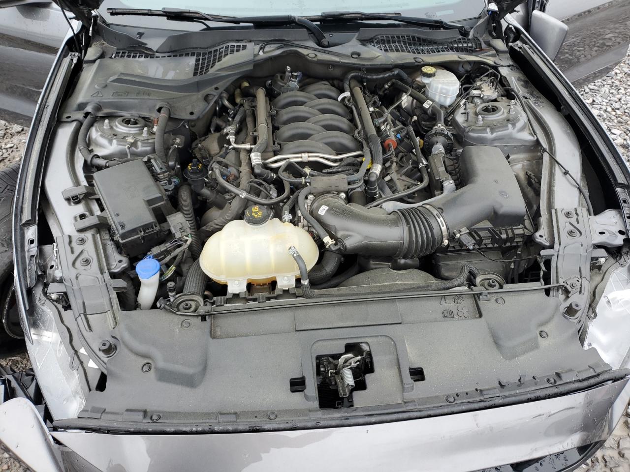 1FA6P8CF0M5140570 FORD MUSTANG 2021