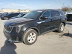 2025 Kia Sorento Lx for Sale in Wilmer, TX - Hail