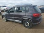 2016 Volkswagen Tiguan S for Sale in Brighton, CO - Rear End