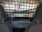2021 Ram Promaster City Slt for Sale in Madisonville, TN - All Over