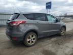 2013 Ford Escape Se for Sale in Fort Wayne, IN - Burn