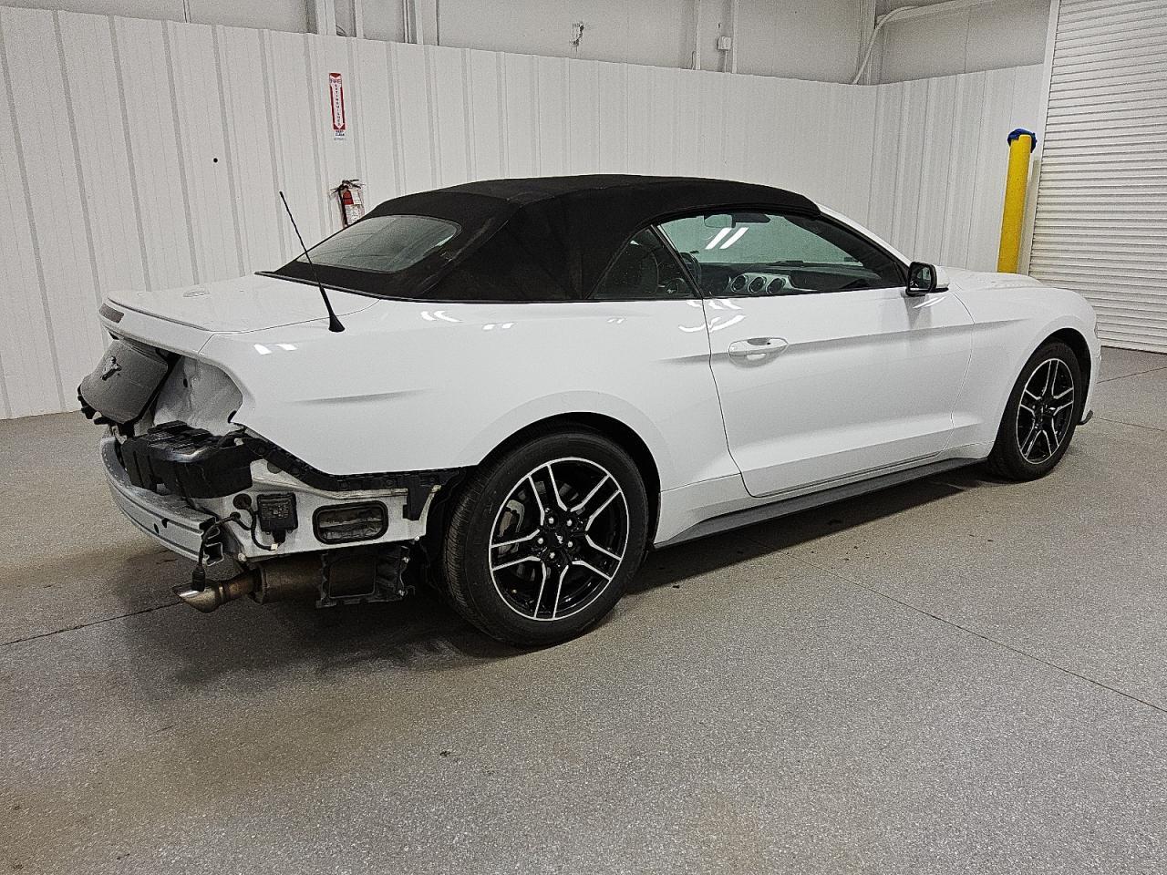1FATP8UH8P5103340 FORD ALL Models 2023