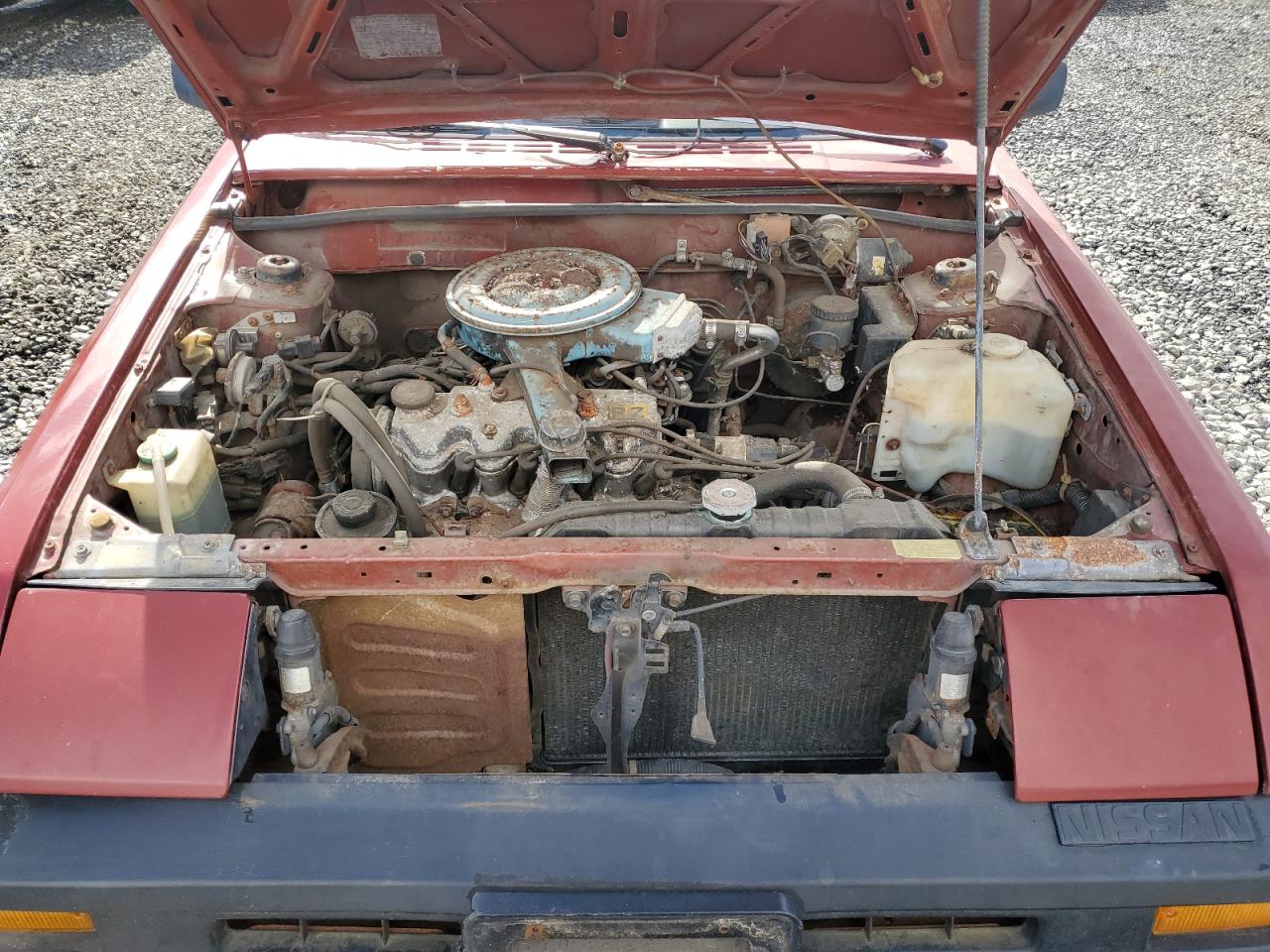 1985 Nissan Pulsar - Image 11