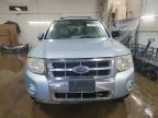 2008 Ford Escape Hev en Venta en Elgin, IL - Rear End