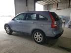 2007 Honda Cr-V Exl zu verkaufen in Lexington, KY - Front End