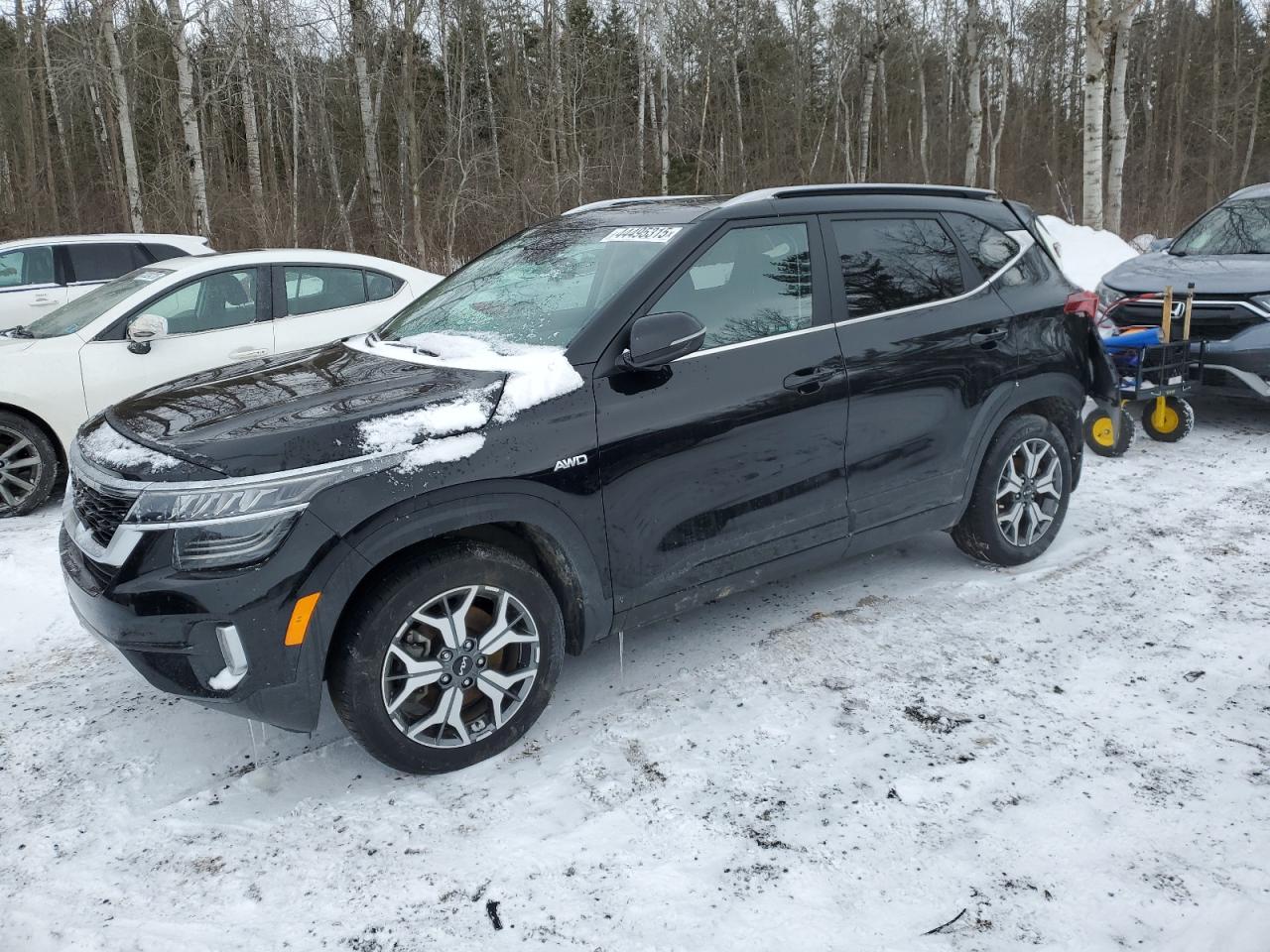 2023 Kia Seltos Ex en Venta en Cookstown, ON - Rear End