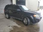 2010 Ford Escape Xlt للبيع في Gaston، SC - Side