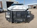 2024 Ford F350 Super Duty for Sale in Rapid City, SD - Front End