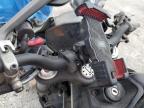 2022 Ducati Monster  for Sale in Homestead, FL - All Over