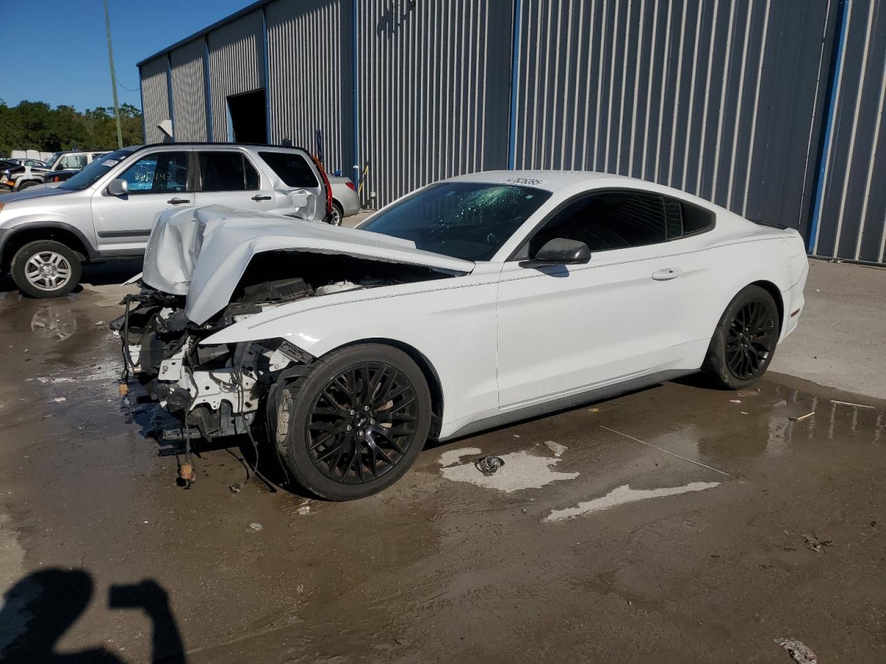 1FA6P8AM5G5302036 FORD ALL Models 2016