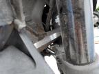 2022 Ducati Monster  for Sale in Homestead, FL - All Over