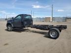 2017 Ford F550 Super Duty for Sale in Brighton, CO - Rear End