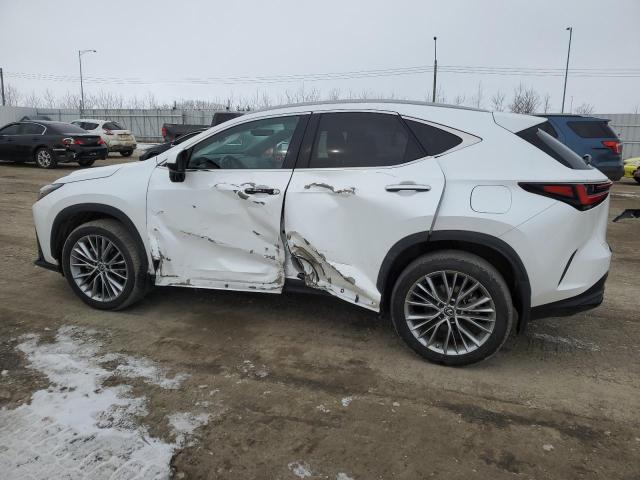  LEXUS NX 350 2023 Biały