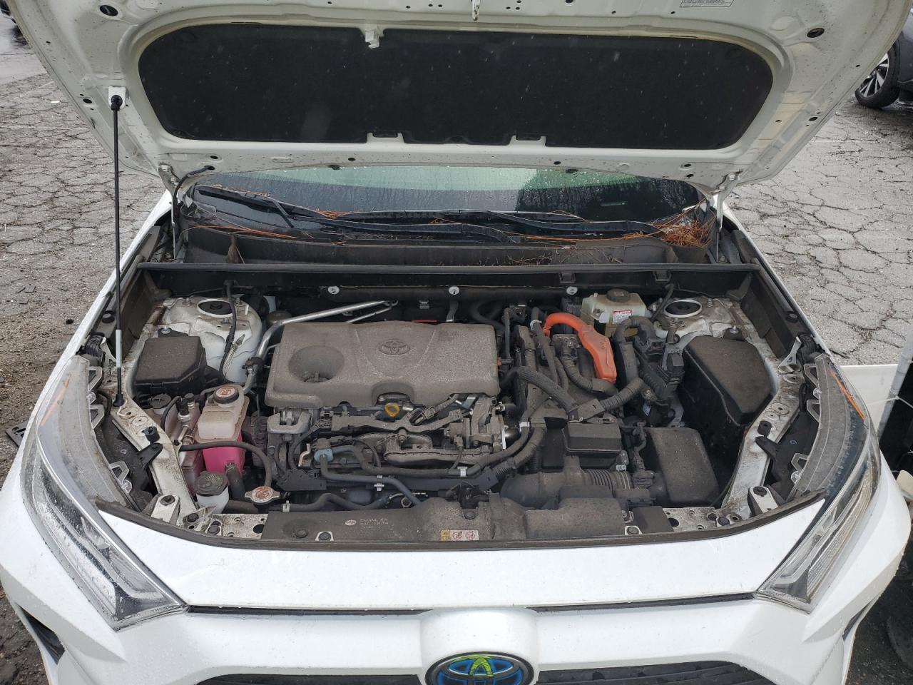 JTMR6RFV8MD021660 TOYOTA RAV4 2021