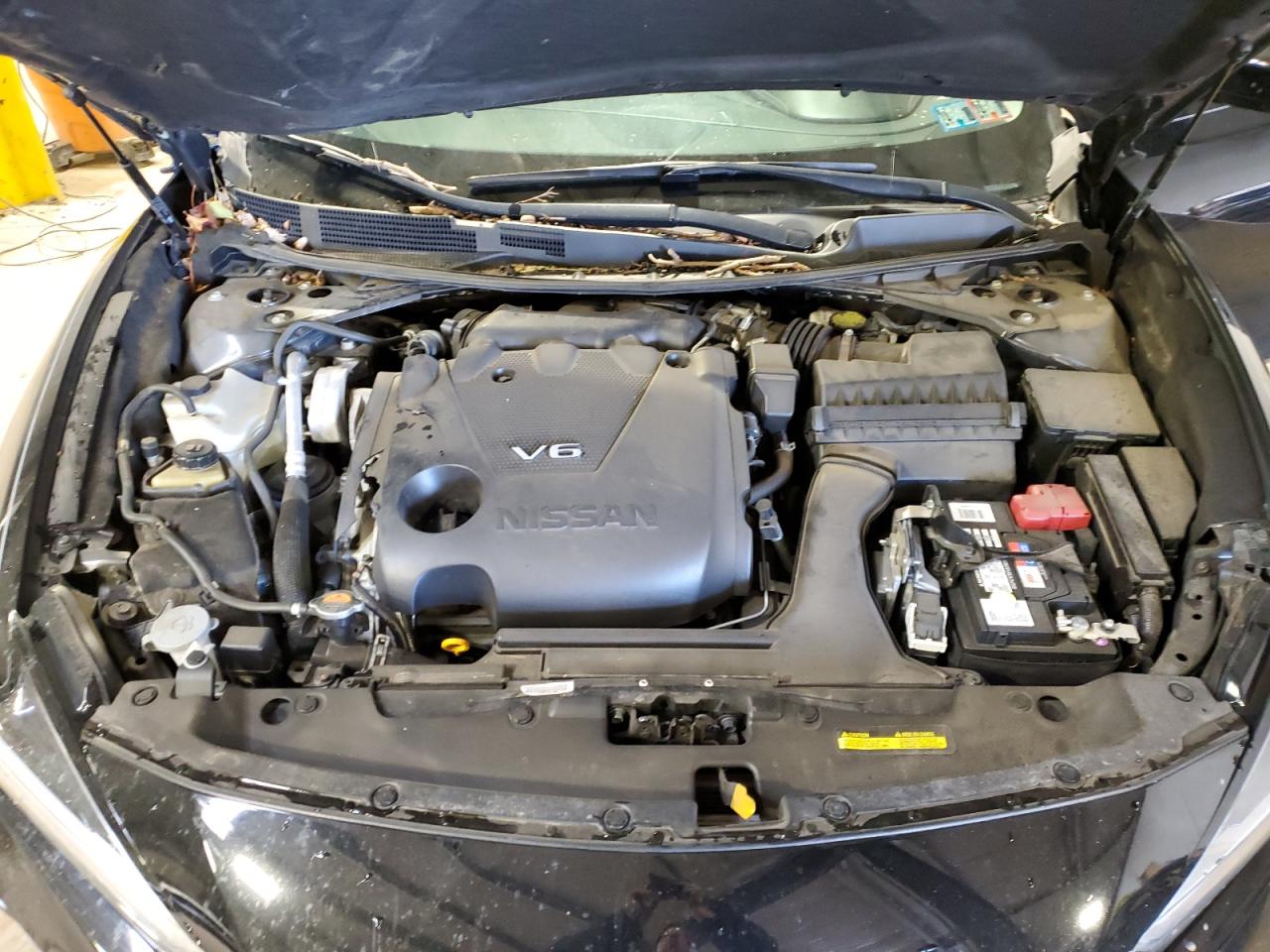 1N4AA6AV6KC381875 NISSAN MAXIMA 2019
