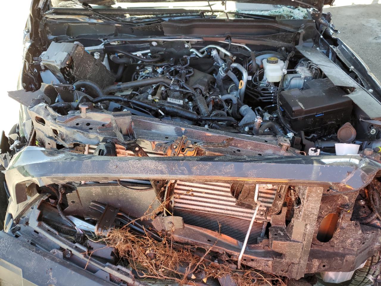 3TMKB5FN0RM005308 TOYOTA TACOMA 2024