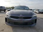 2019 Kia Stinger Premium for Sale in Wilmer, TX - Hail