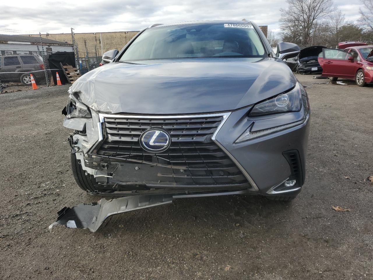 2020 Lexus NX - Image 5