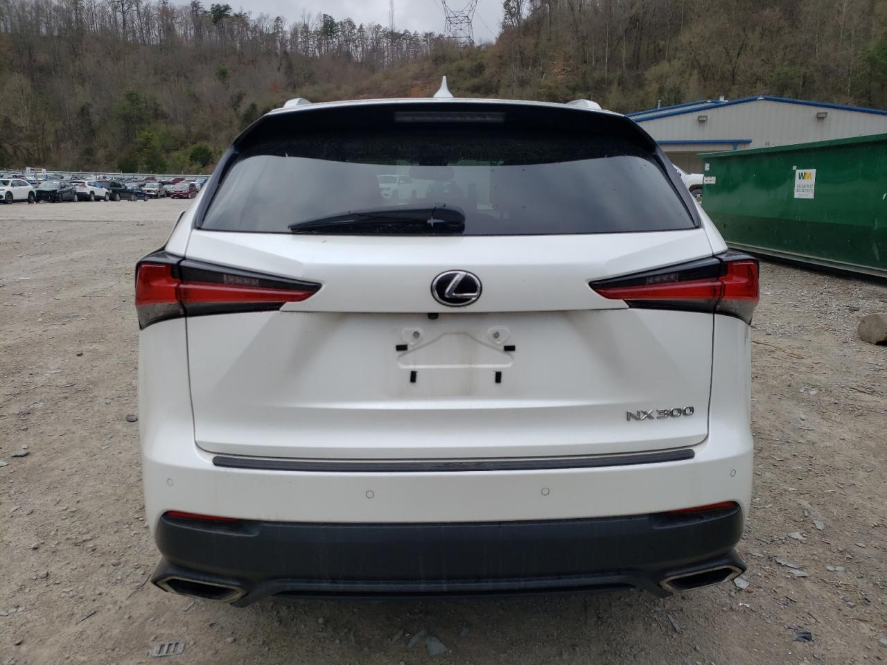 2019 Lexus Nx 300 Base VIN: JTJBARBZXK2202063 Lot: 48910505