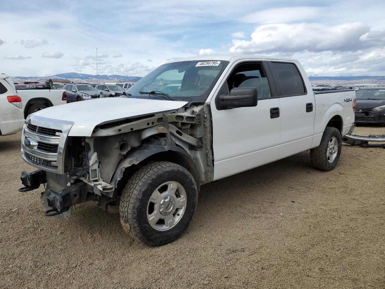 2013 Ford F150 Supercrew for Sale in Helena, MT - Front End
