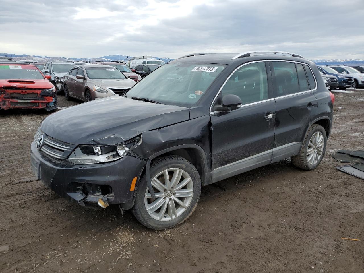 2014 Volkswagen Tiguan S იყიდება Helena-ში, MT - Front End