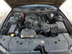 2013 Ford Mustang  for Sale in Houston, TX - Hail