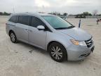 2016 Honda Odyssey Exl en Venta en New Braunfels, TX - Hail