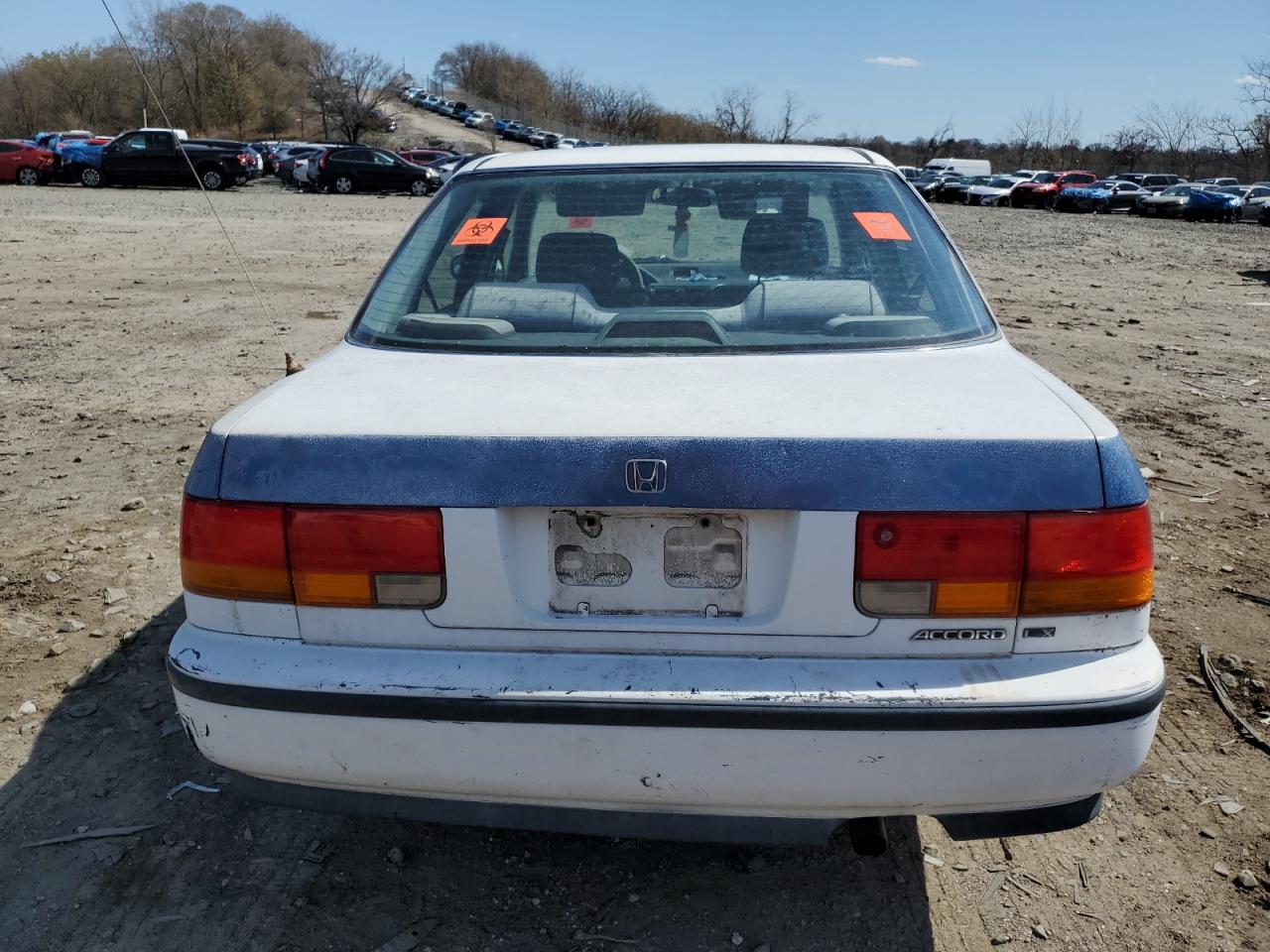 1993 Honda Accord Lx VIN: 1HGCB7655PA147620 Lot: 49849055
