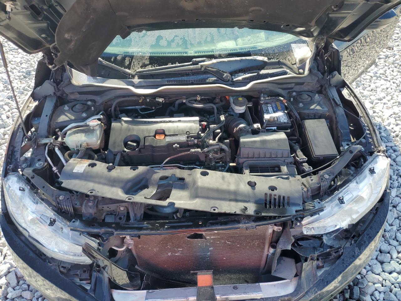 19XFC2F79HE081004 HONDA CIVIC 2017