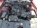 2014 Ford Mustang  for Sale in Madisonville, TN - Rear End