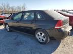 2005 Chevrolet Malibu Maxx Ls for Sale in Cahokia Heights, IL - Front End