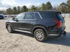 2025 Hyundai Palisade Se de vânzare în Hampton, VA - Rear End