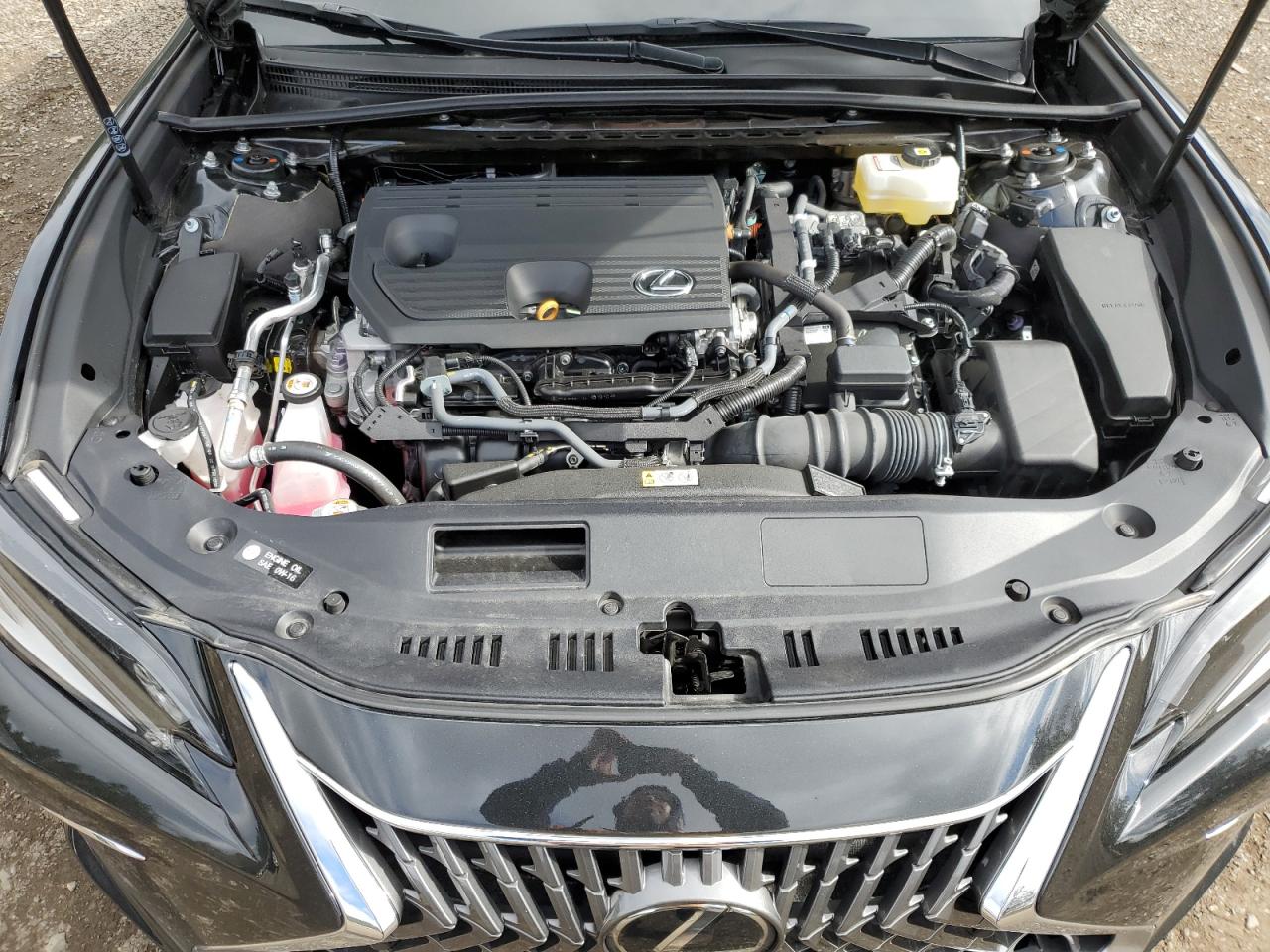 2023 Lexus ES - Image 11