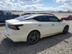 Earlington, KY에서 판매 중인 2020 Nissan Maxima Platinum - Front End