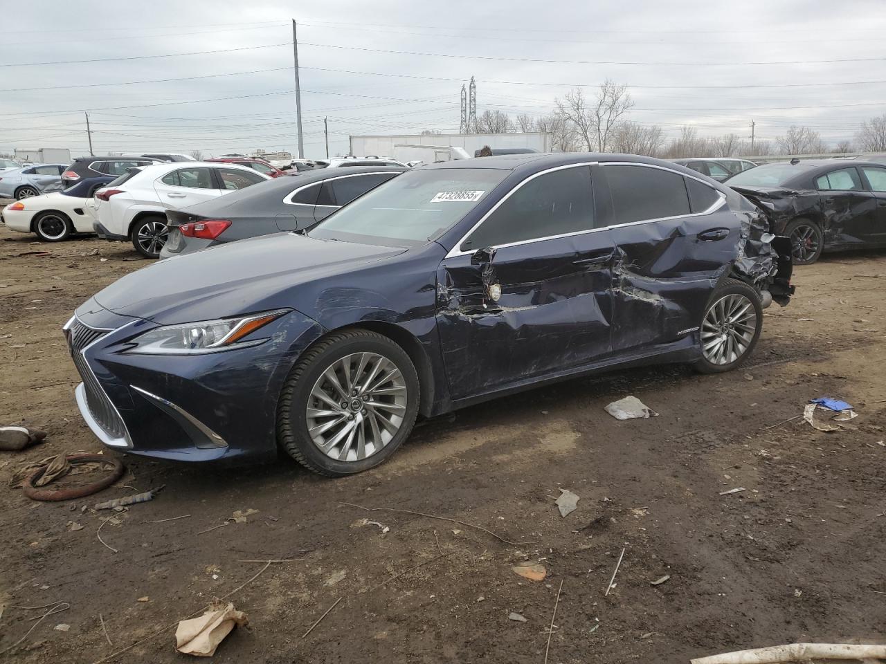 2019 Lexus ES - Image 1
