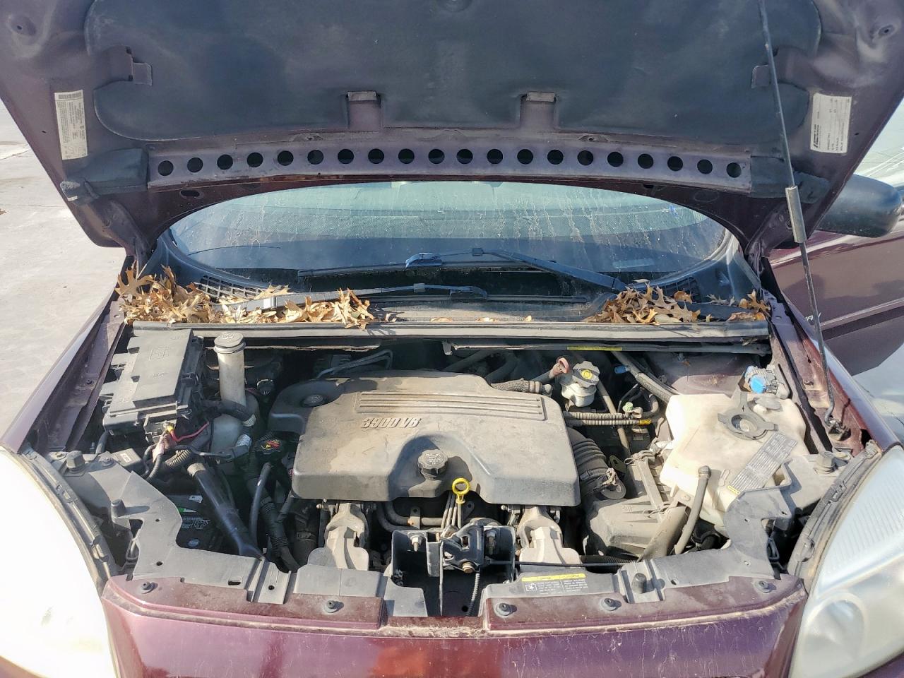 2006 Chevrolet Uplander Incomplete VIN: 1GBDV13186D223082 Lot: 49682435