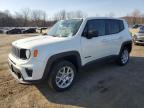 2023 Jeep Renegade Latitude for Sale in Marlboro, NY - All Over