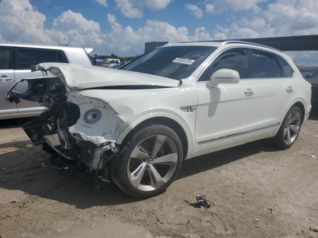  BENTLEY ALL MODELS 2019 White