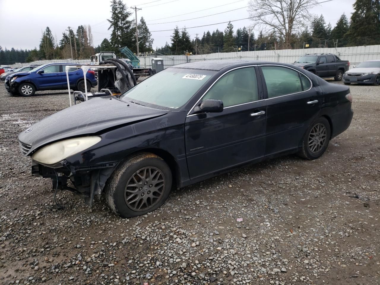 2004 Lexus ES - Image 1