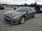 2009 Nissan Maxima S იყიდება Memphis-ში, TN - Front End