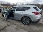 2021 Hyundai Santa Fe Limited на продаже в Marlboro, NY - All Over