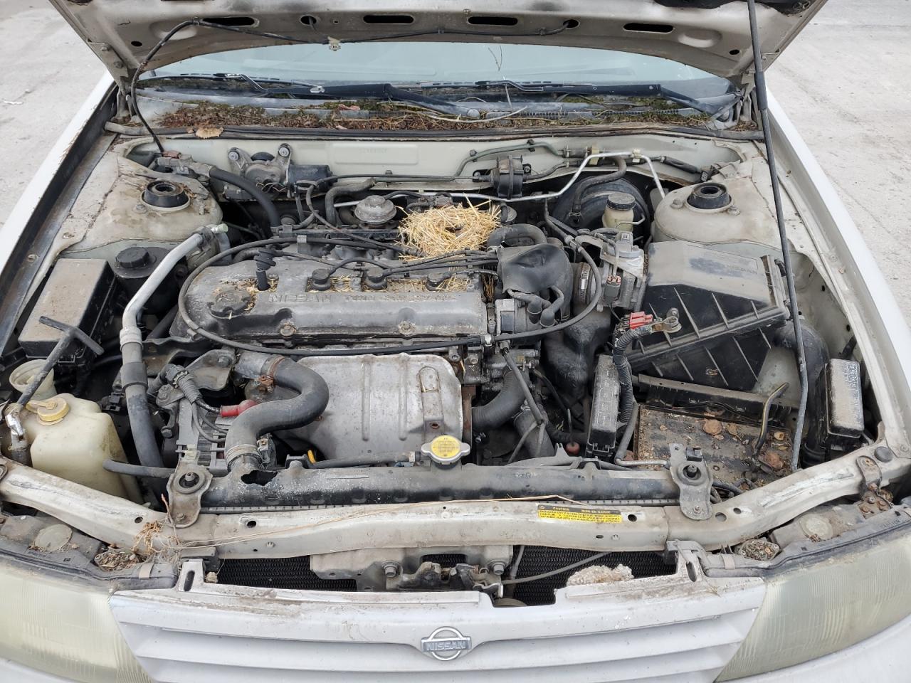 1995 Nissan Altima Xe VIN: 1N4BU31D5SC184567 Lot: 49183875