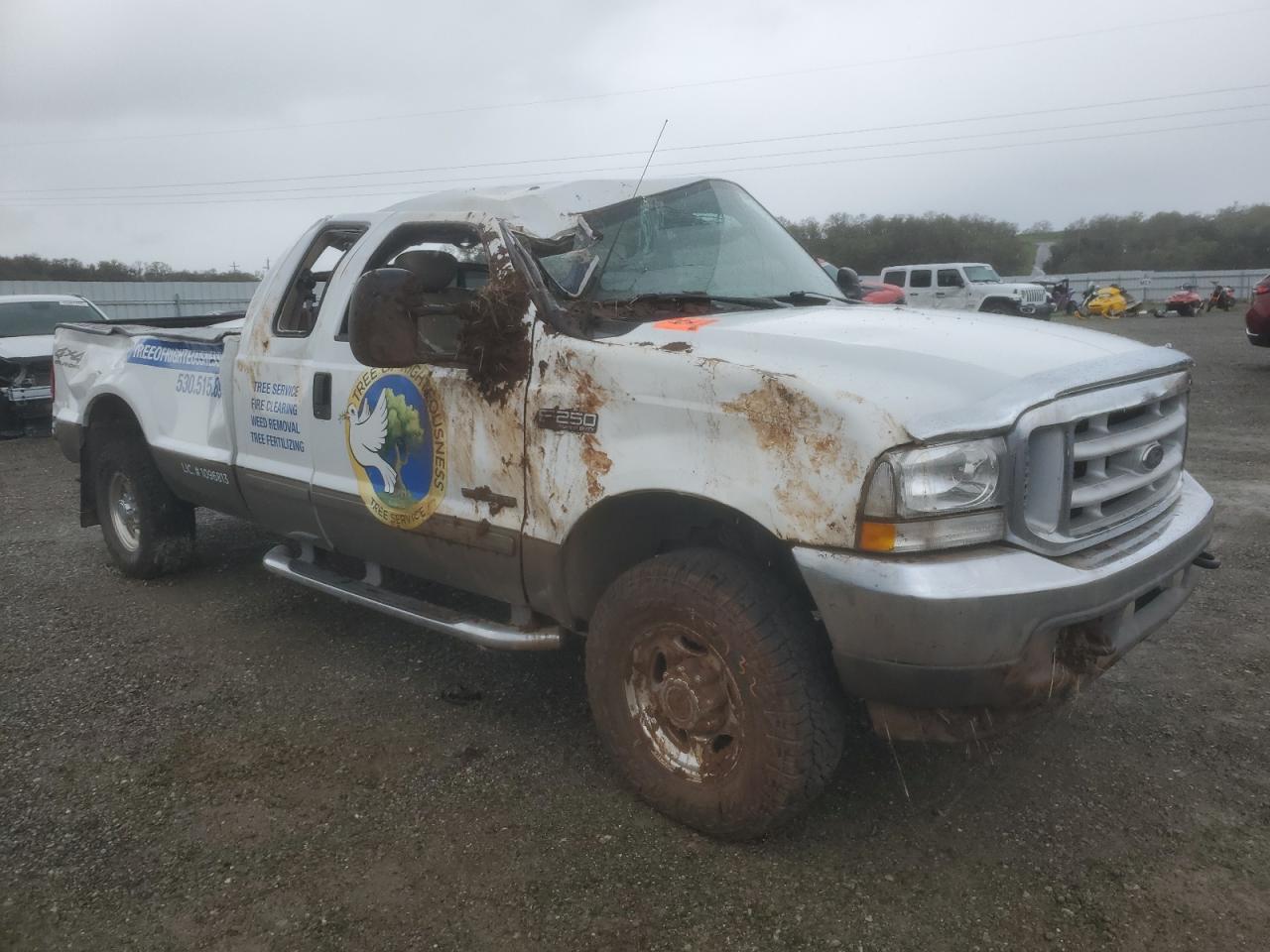 2002 Ford F250 - Image 4
